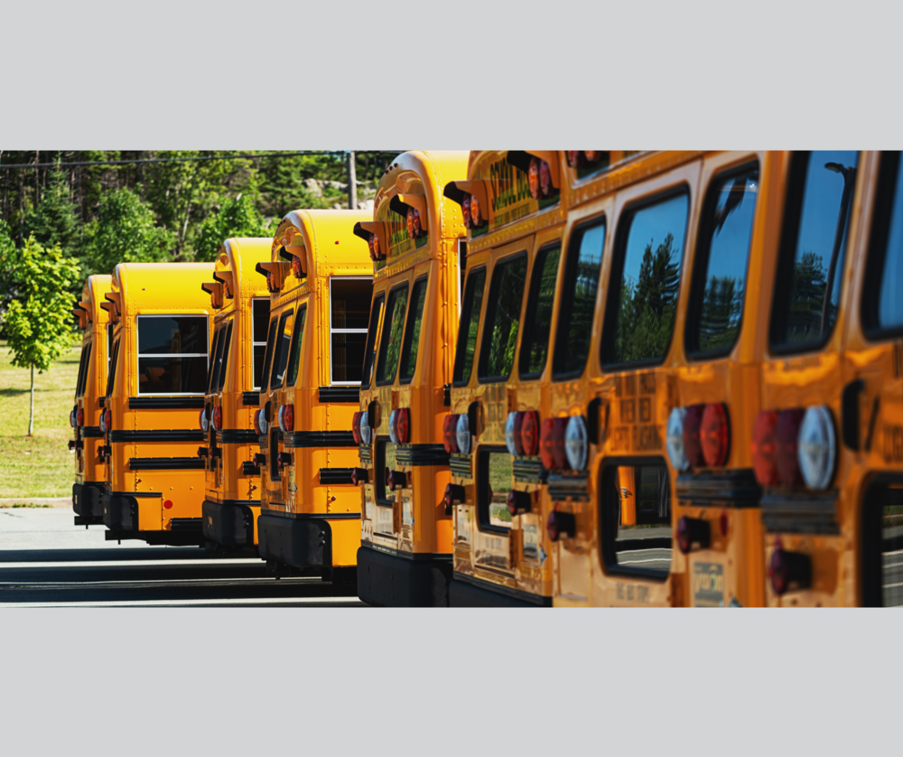 buses