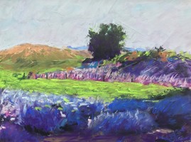 Student Spotlight, Will Zheng