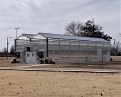 MST wins grant for school garden
