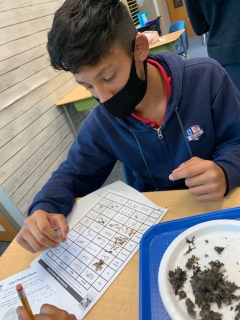 picture of a student